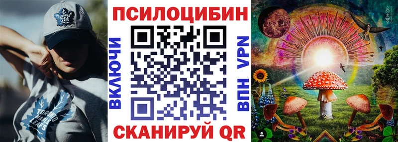 хочу наркоту  Новомосковск  Галлюциногенные грибы Cubensis 